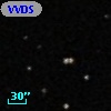 VVDS 220355561