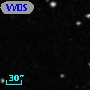 VVDS 220355595