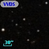 VVDS 220355929