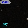 VVDS 220356264