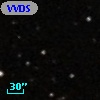 VVDS 220356579