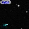 VVDS 220356598