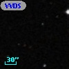 VVDS 220360274