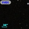 VVDS 220360831