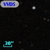 VVDS 220361415