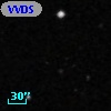 VVDS 220361444