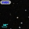 VVDS 220361743