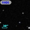 VVDS 220361748