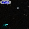 VVDS 220362037