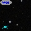 VVDS 220362156