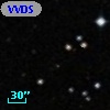 VVDS 220362630