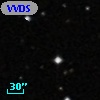 VVDS 220363423