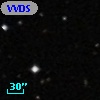 VVDS 220363998