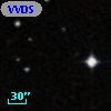 VVDS 220364028