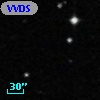 VVDS 220364129