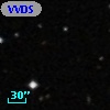 VVDS 220364448