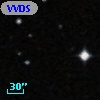VVDS 220364477