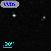 VVDS 220365061