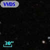 VVDS 220365397