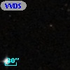 VVDS 220366181