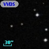VVDS 220366238