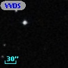 VVDS 220366402
