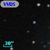 VVDS 220366542