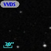 VVDS 220369081