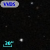 VVDS 220369551