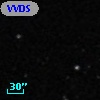 VVDS 220369959