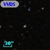 VVDS 220376388