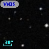 VVDS 220376525