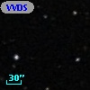 VVDS 220378702