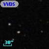 VVDS 220379885