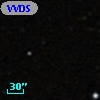 VVDS 220384893