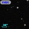 VVDS 220384947