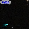 VVDS 220385088