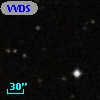 VVDS 220385130