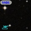 VVDS 220386441