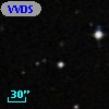 VVDS 220386507