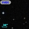 VVDS 220386686
