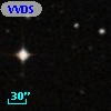 VVDS 220387979