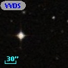 VVDS 220388204