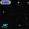 VVDS 220389830