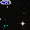 VVDS 220390050