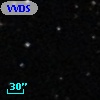 VVDS 220391185