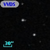 VVDS 220392118