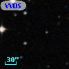 VVDS 220392180
