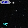 VVDS 220392315