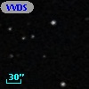 VVDS 220392773